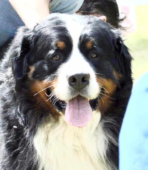 Na predaj 1 izbový byt - Košice, Ostrovského 2 / test test