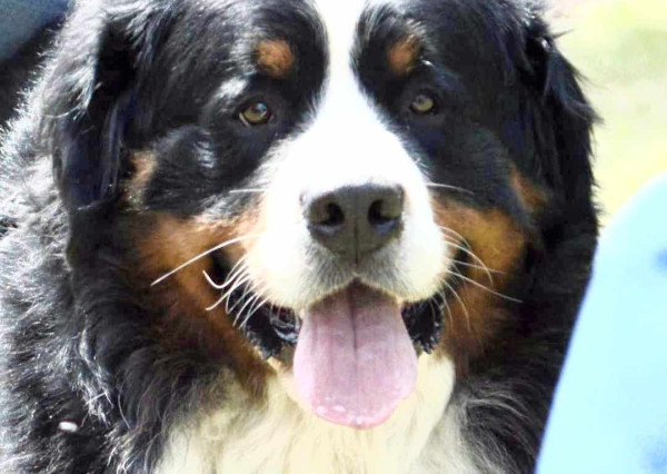 Na predaj 1 izbový byt - Košice, Ostrovského 2 / test test